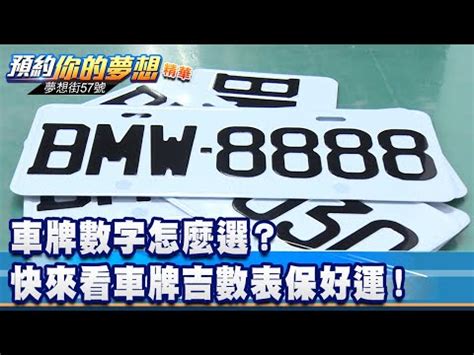 車牌6個數字|車牌數字背後的秘密